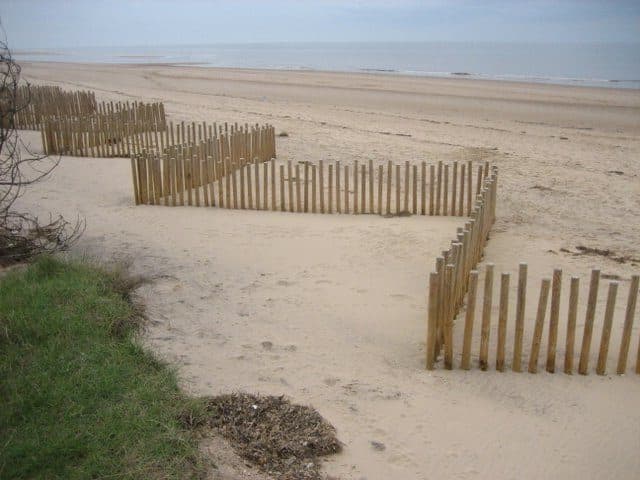 ganivelles au bord d une dune