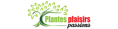 Plantes plaisirs Passions