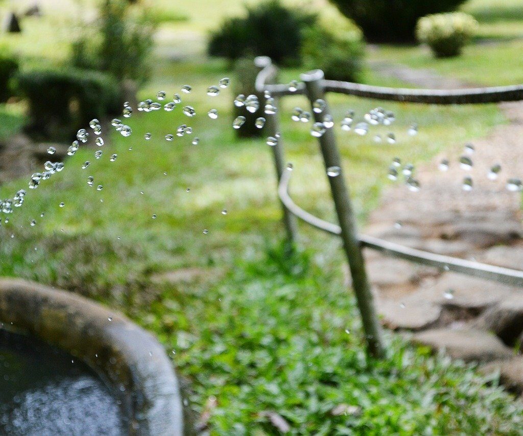 arroser jardin avec eau de pluie