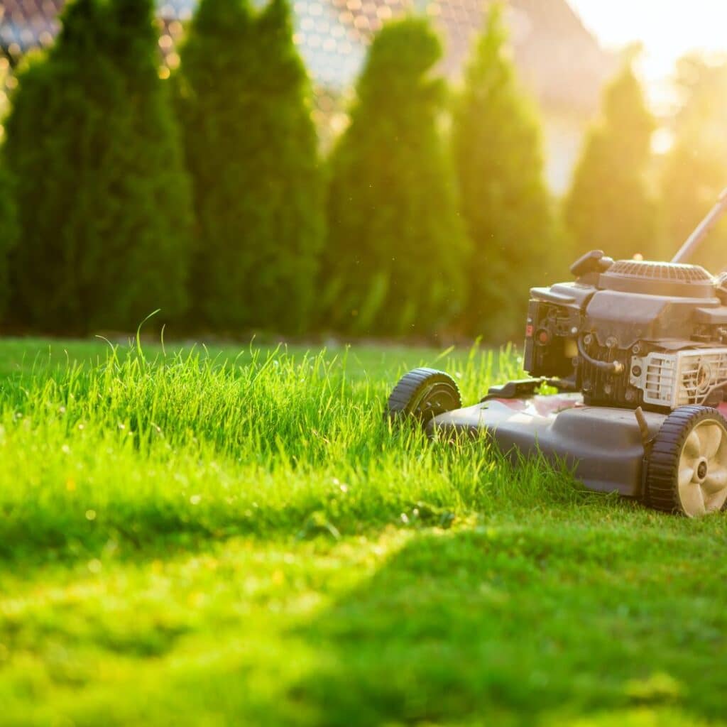 législation débroussaillage jardin