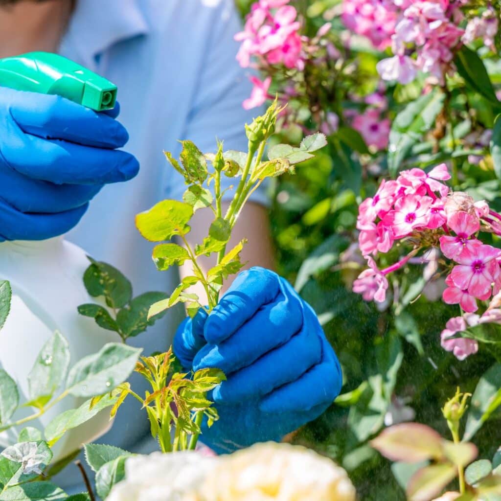 législation pesticides jardin