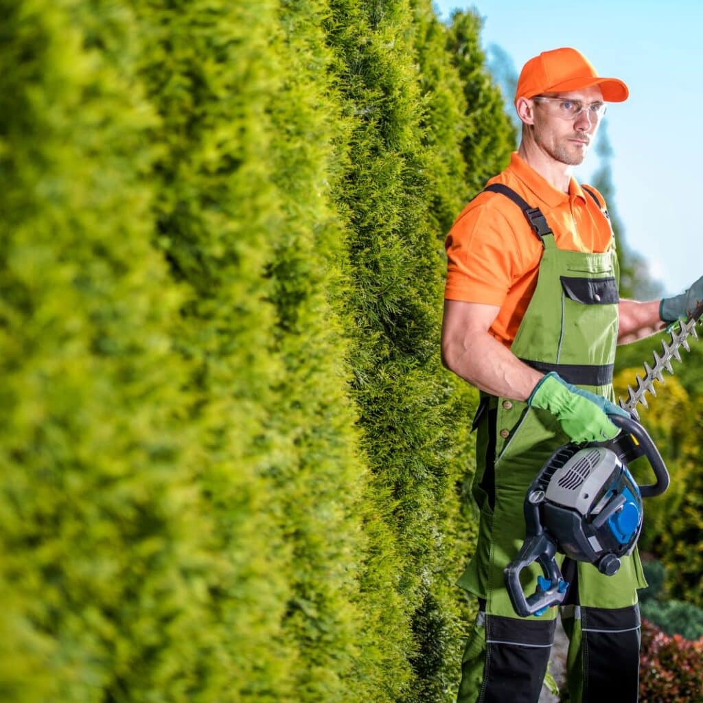 risques tailler haie