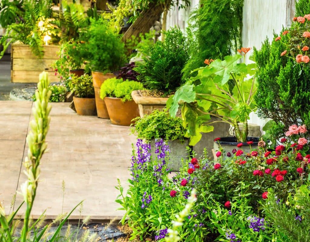 5 plantes qui transforment votre jardin