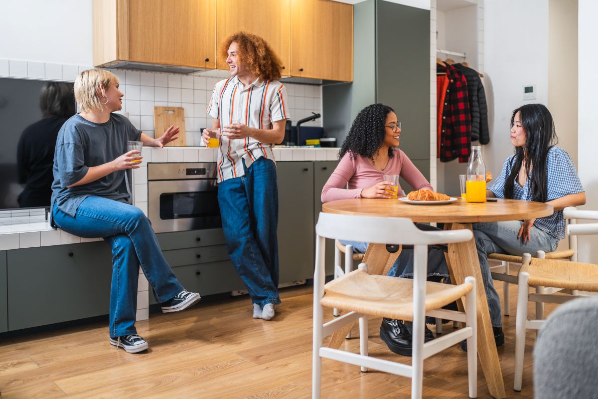 assurance logement colocation