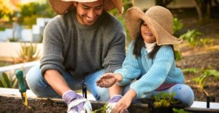 Que planter au jardin en mars